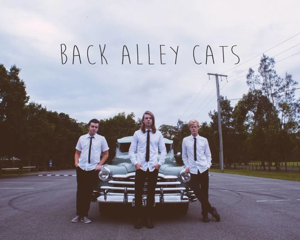Back Alley Cats