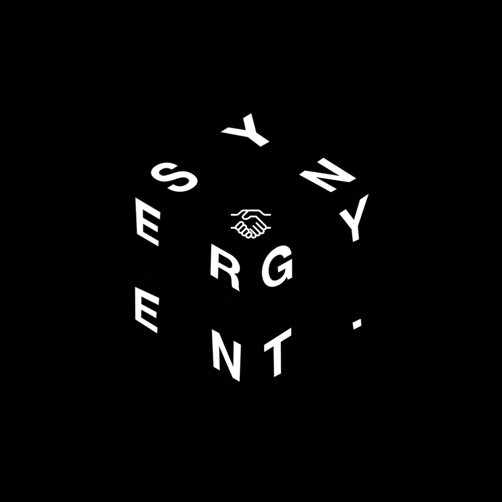 Synergy Enterprises