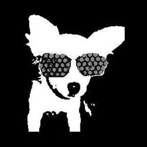 Electro Pup