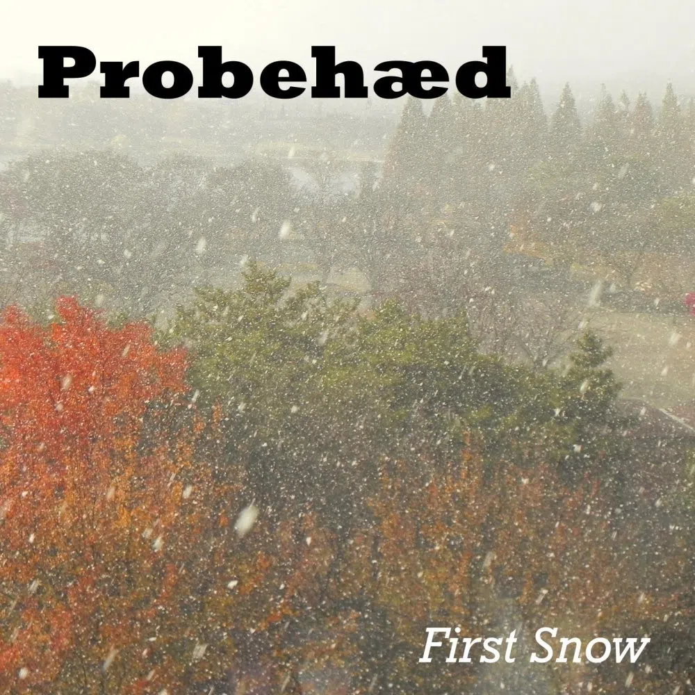 Probehæd