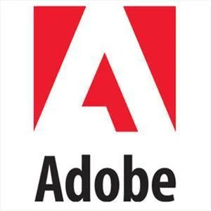 Adobe generation