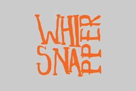 ThisIsWhipperSnapper