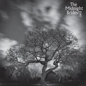 The Midnight Brides