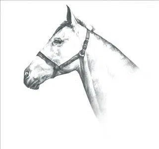Six White Horses