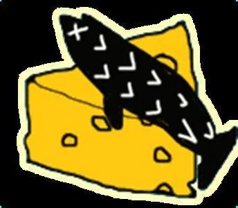 Fishcheese