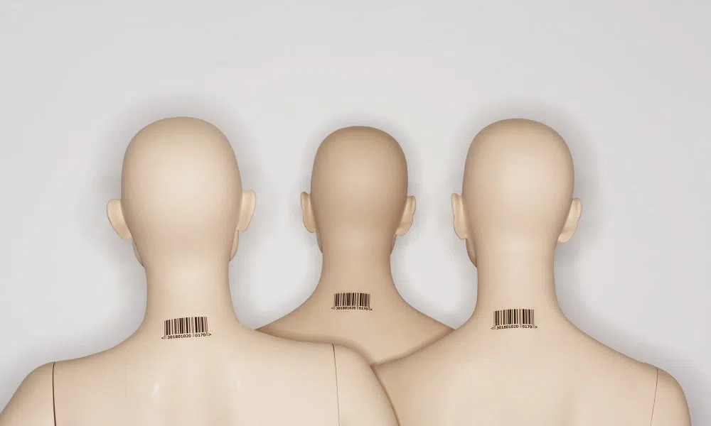 The Clone Section