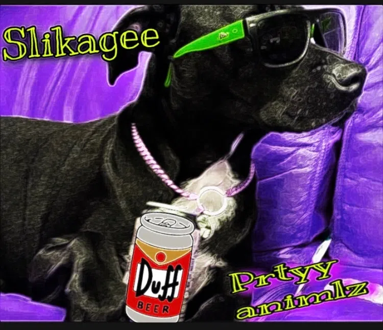 Slikagee