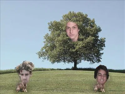 Two Hares and a Tree