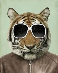 Saboteur Tiger