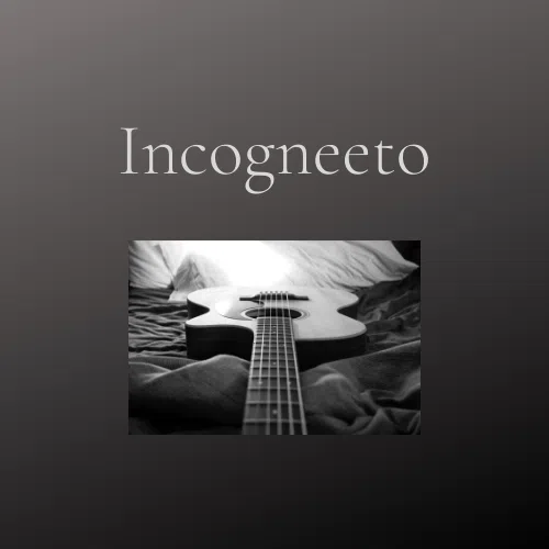 Incogneeto