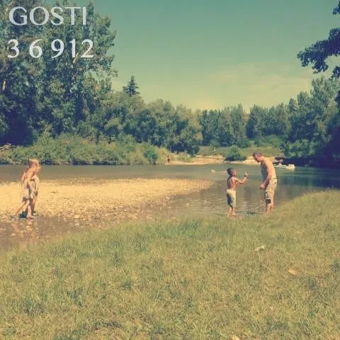 Gosti