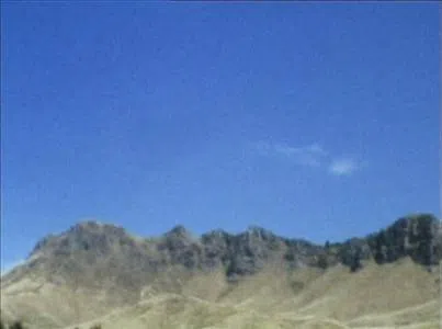 can you hear birds, flightless birds