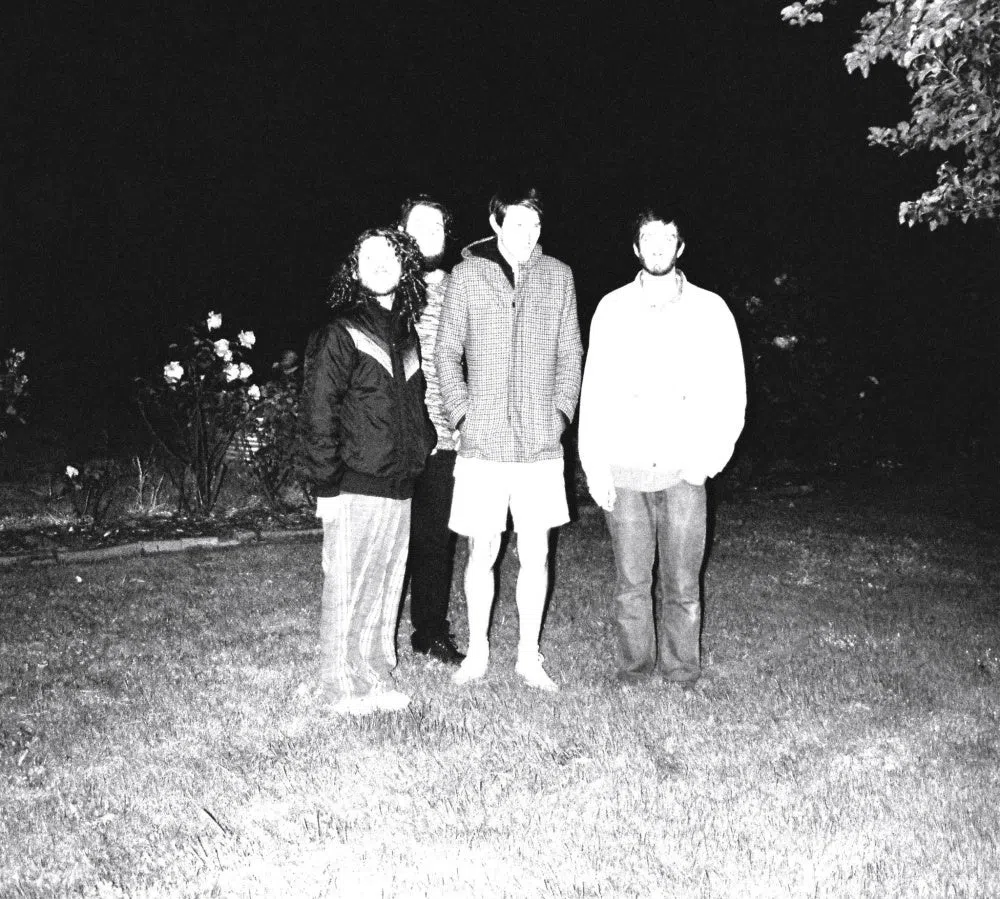 Fever Seeds