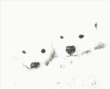Snow Friends!
