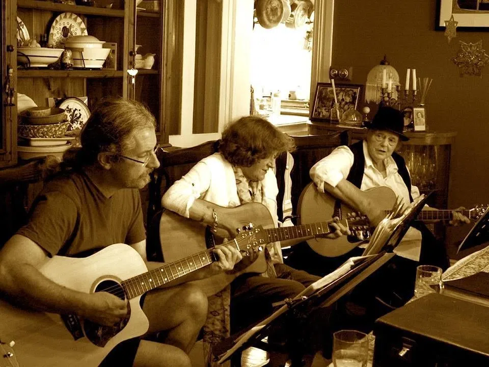 Roundabout Folk Band
