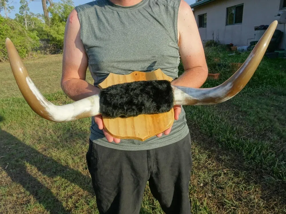 HornGuy
