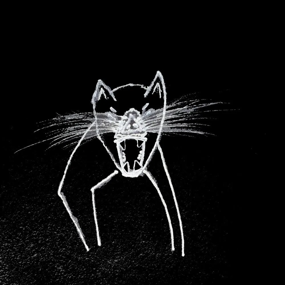 Tasmanian Devil Worshippers