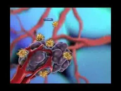 Carsinogenisis