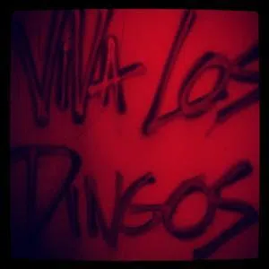Viva Los Dingos