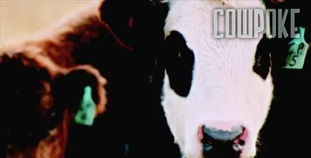 COWPOKE