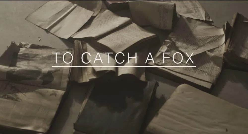To Catch A Fox