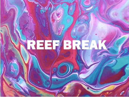 Reef Break