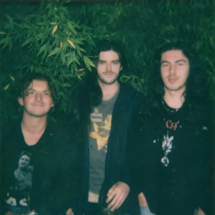 Legal Noise