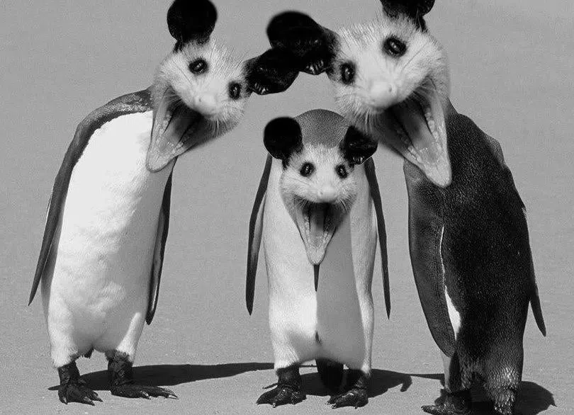 Vortigaunt