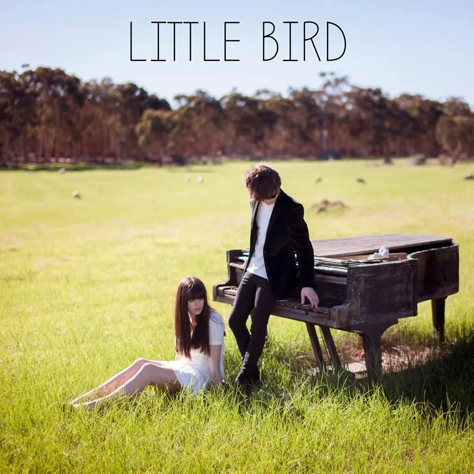 Little Bird