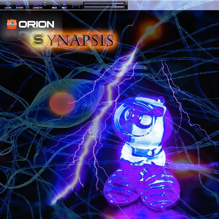 Synapsis
