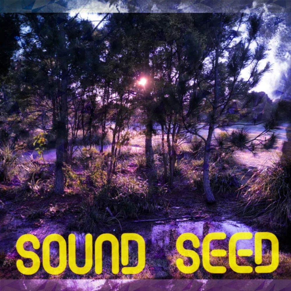 Sound Seed