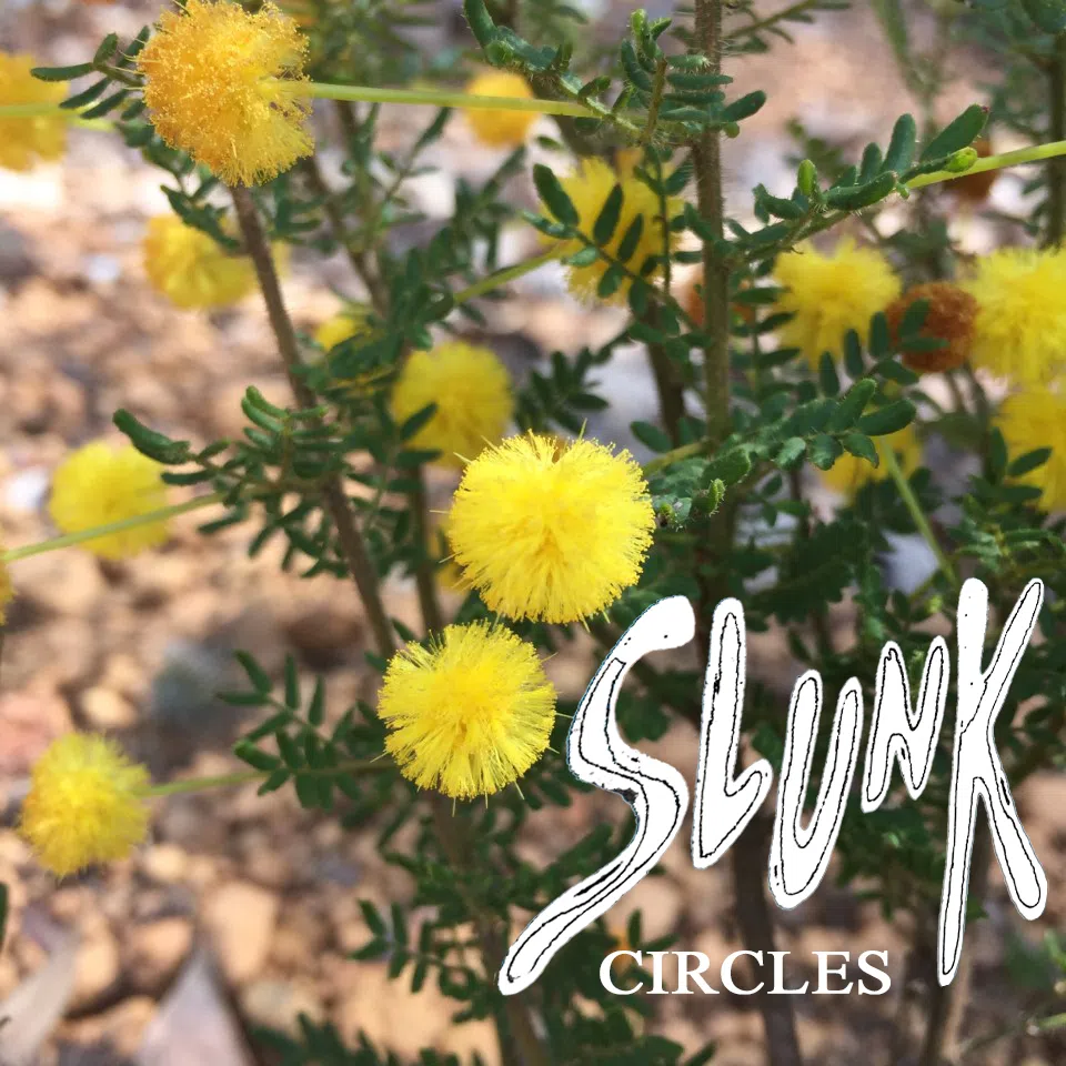 SlunK