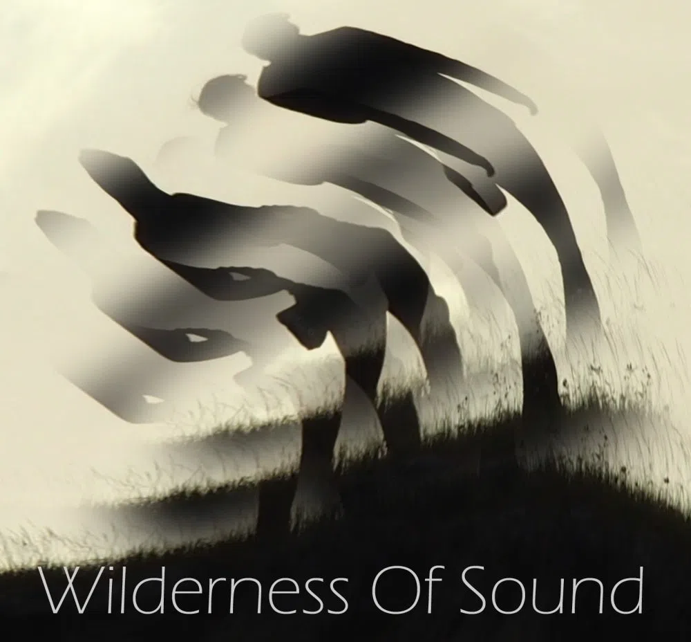 Wilderness Of Sound