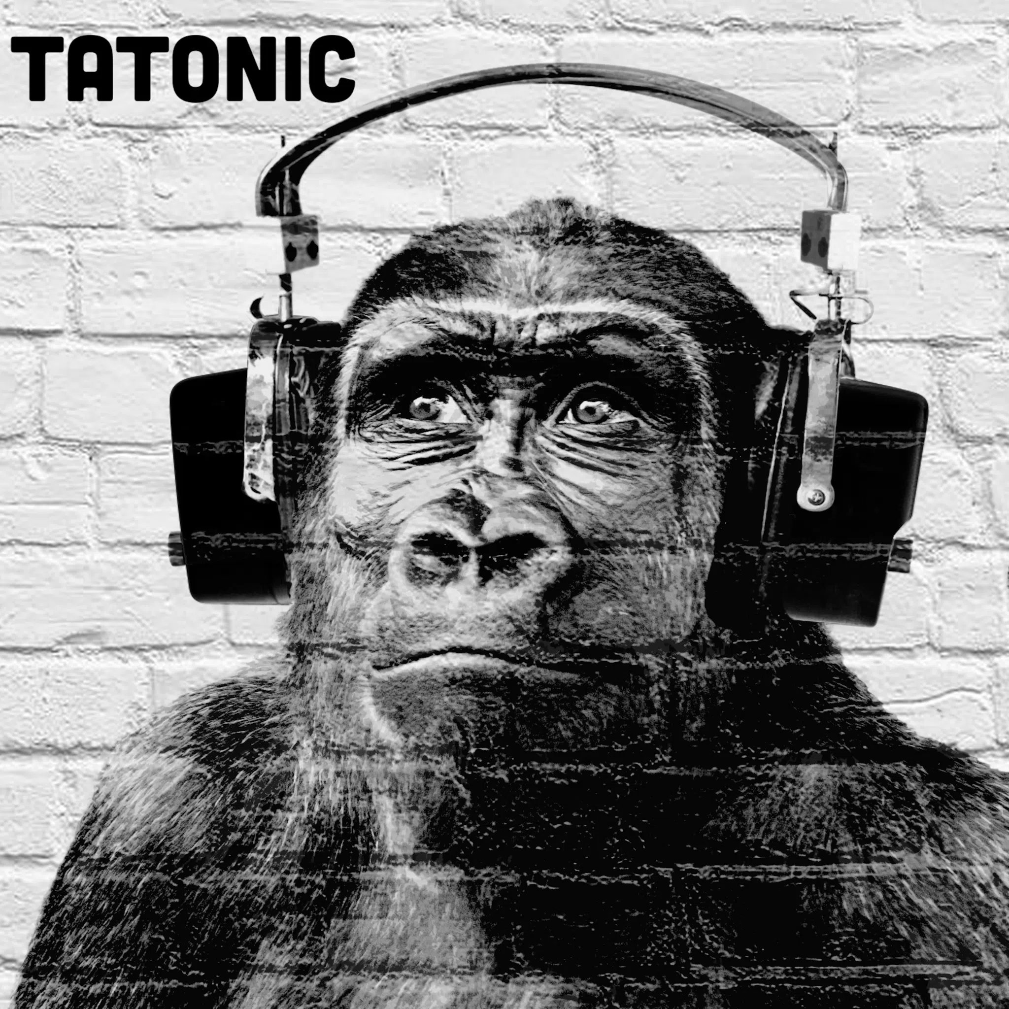 Tatonic