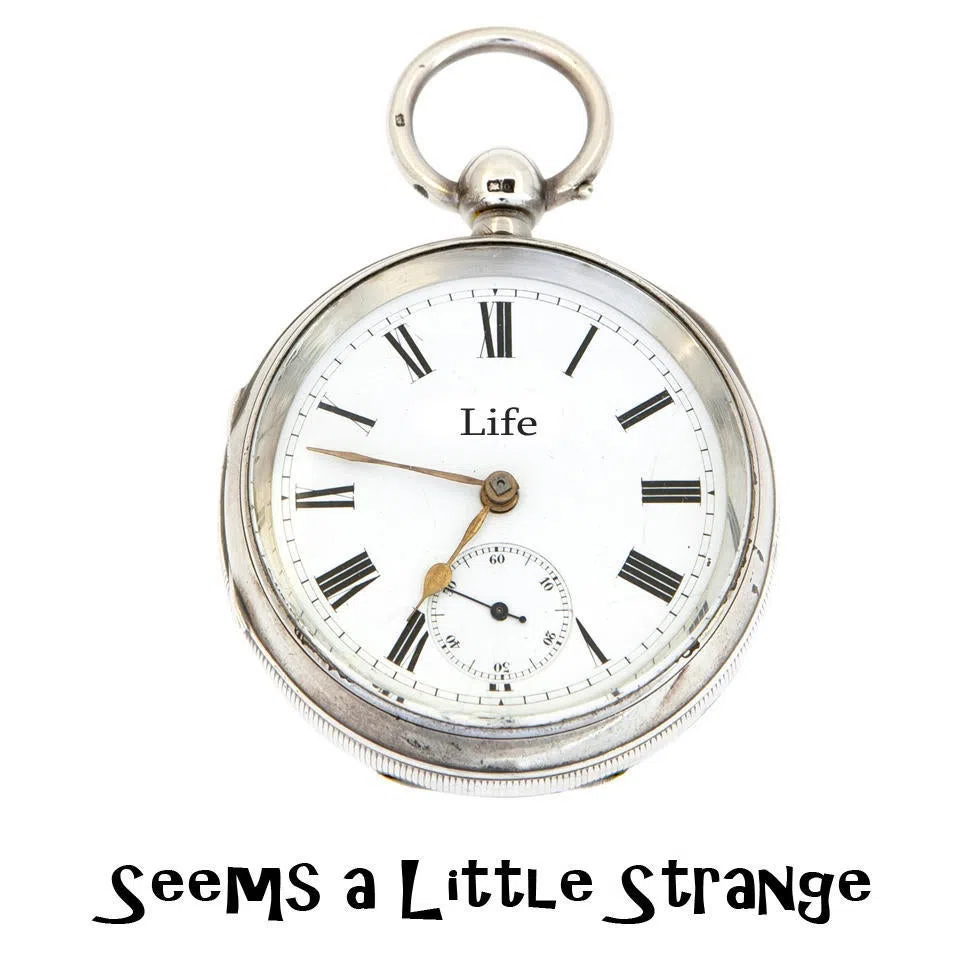 Seems a Little Strange!