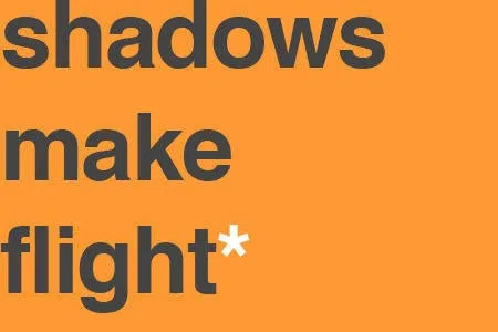 Shadows Make Flight