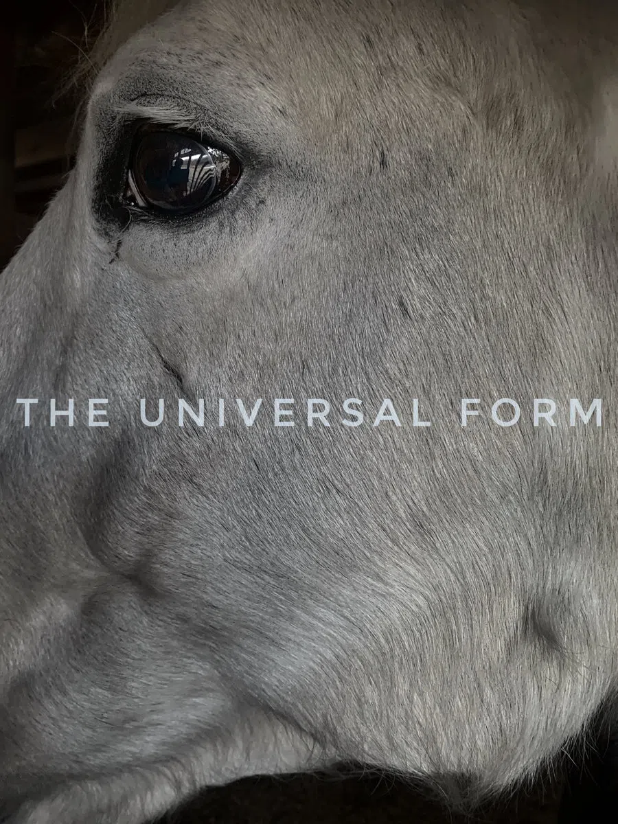 The Universal Form