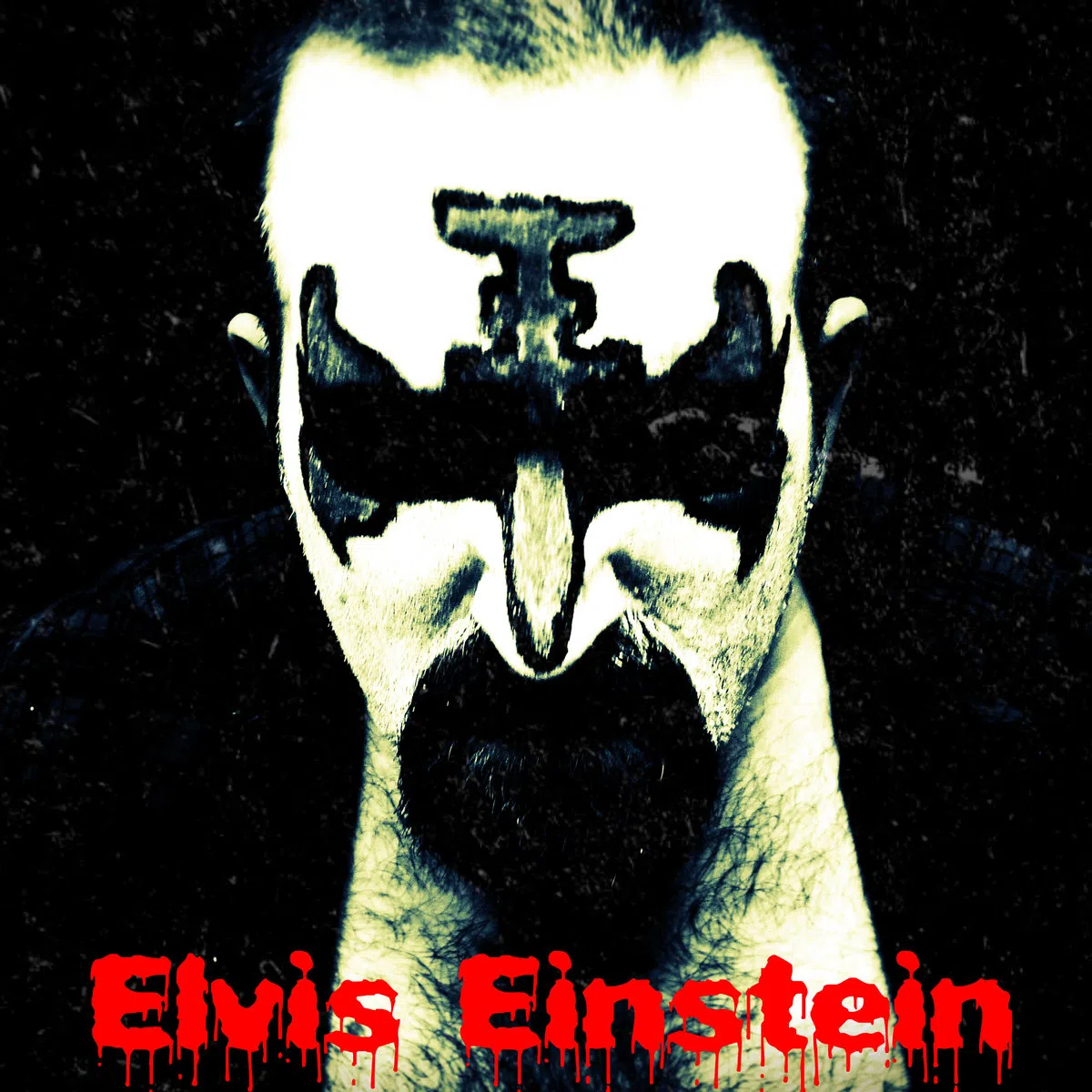 Elvis Einstein