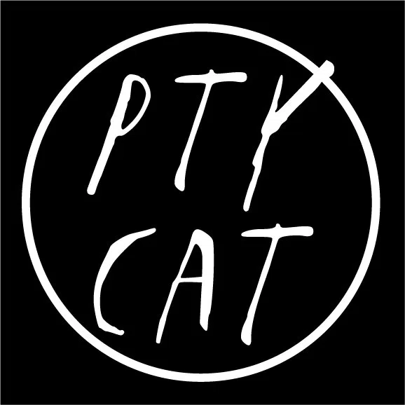party cat