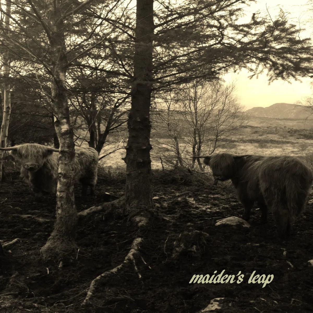 Maiden's Leap