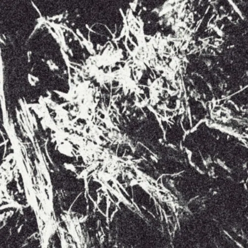 Morte Botânica