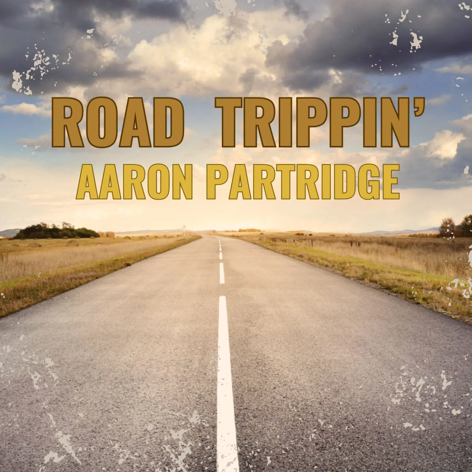 Aaron Partridge