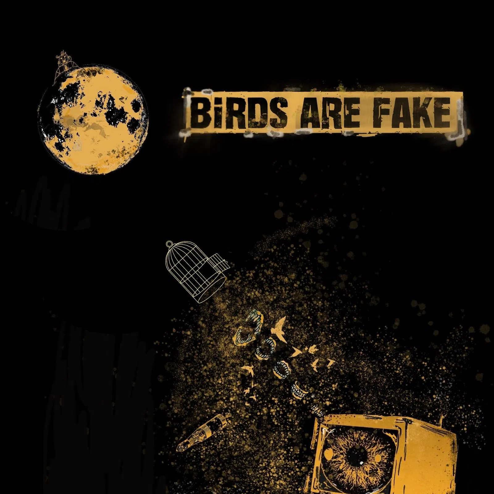 Birds Are Fake