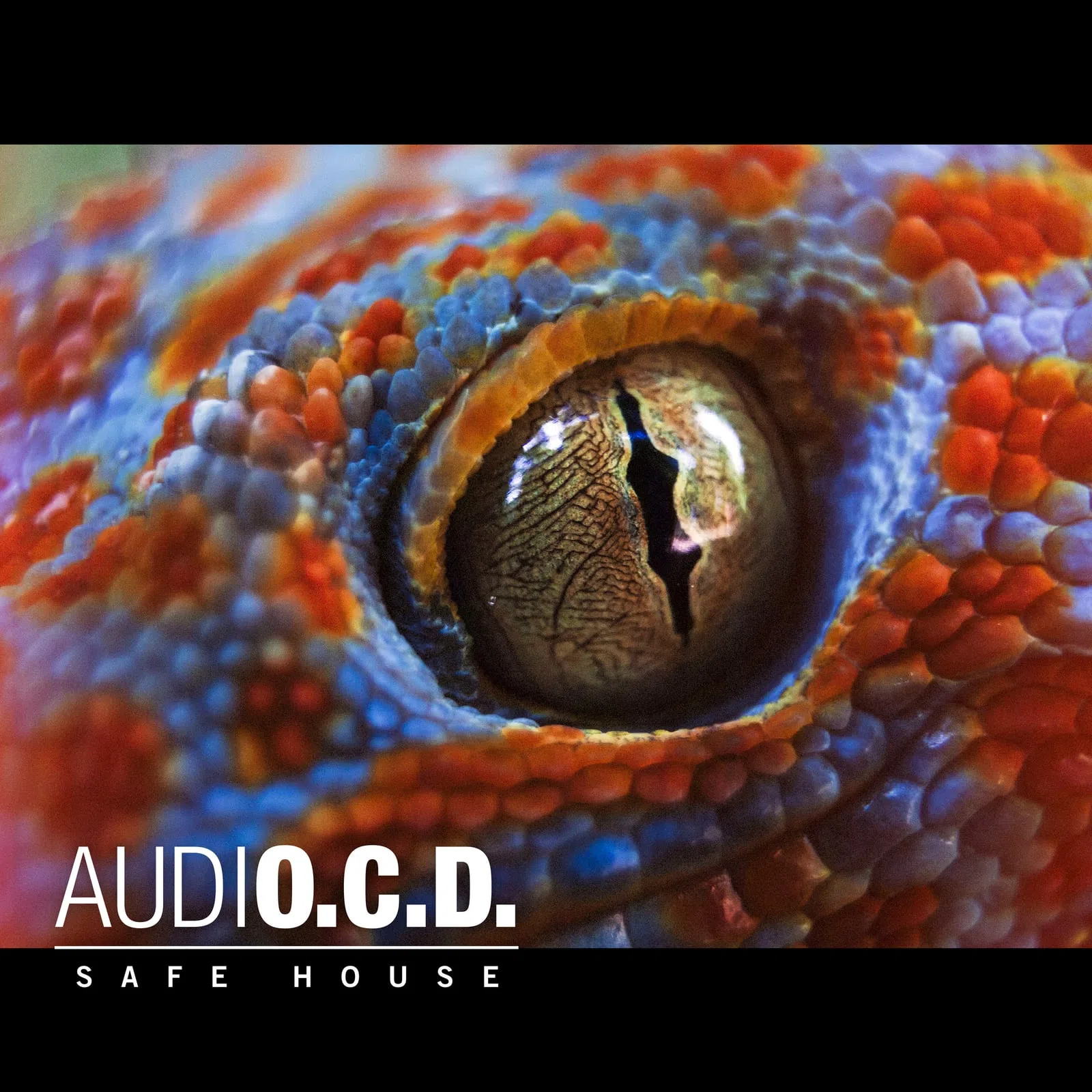 AudiO.C.D. (Audio Compulsive Disorder)