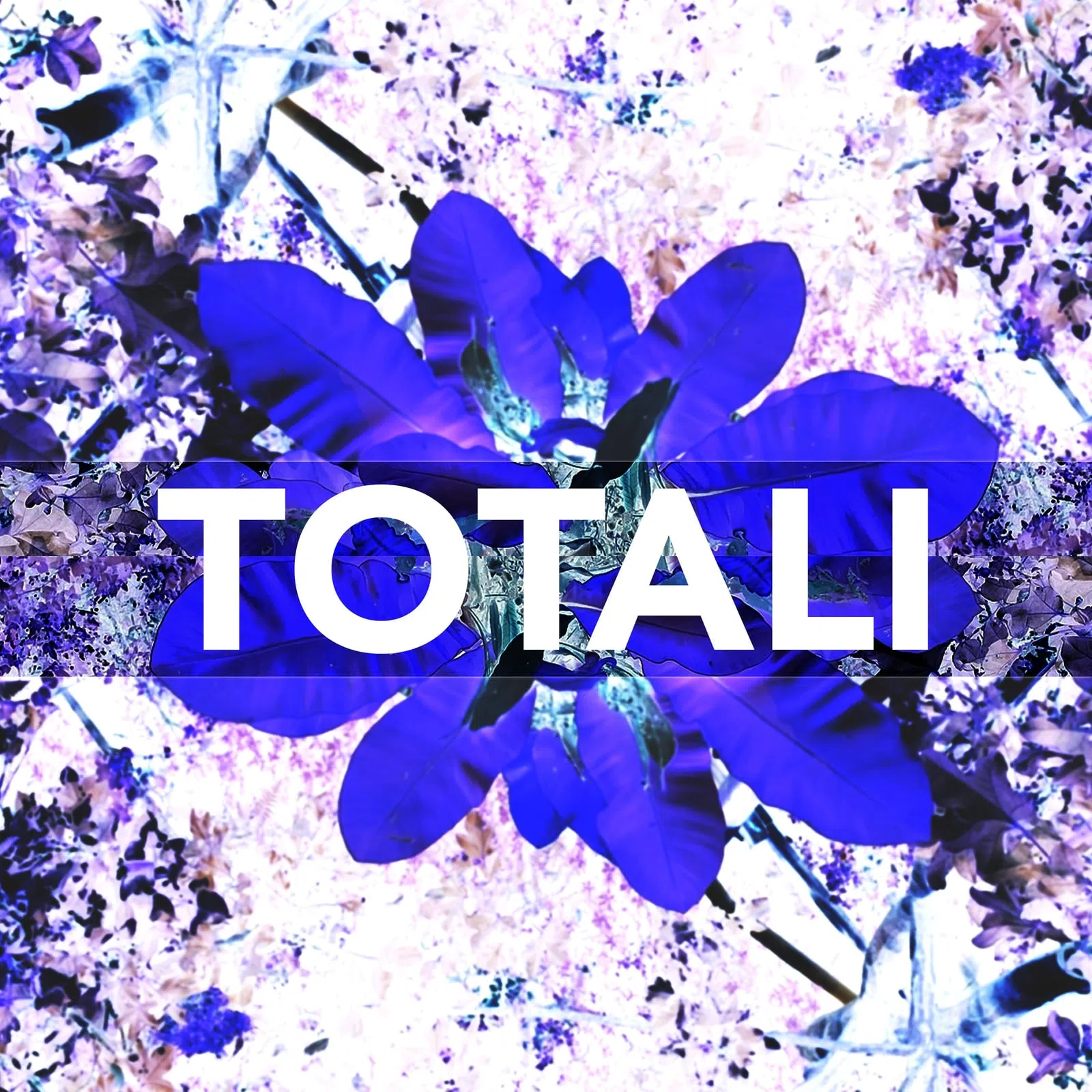 Totali