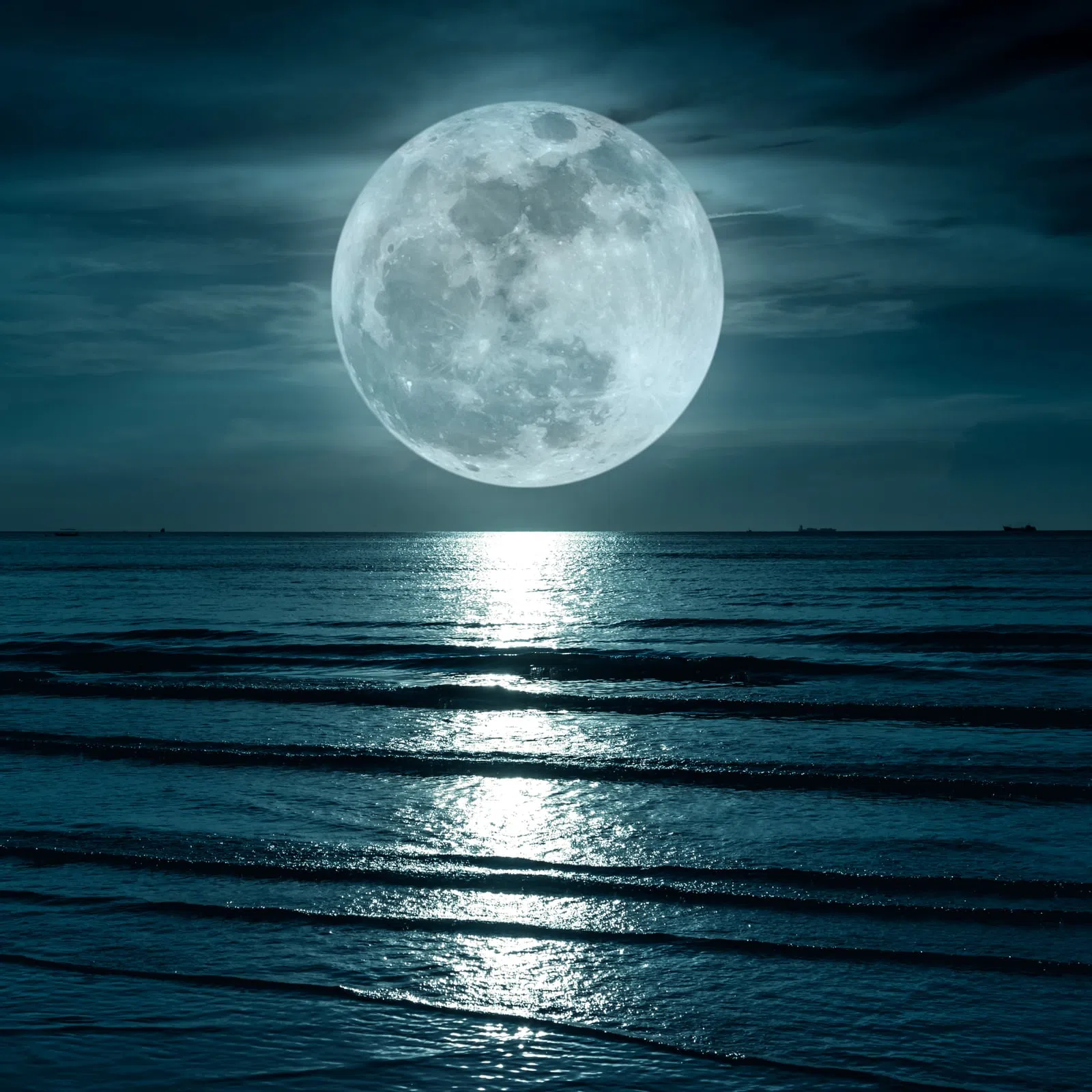 Moonlight Five